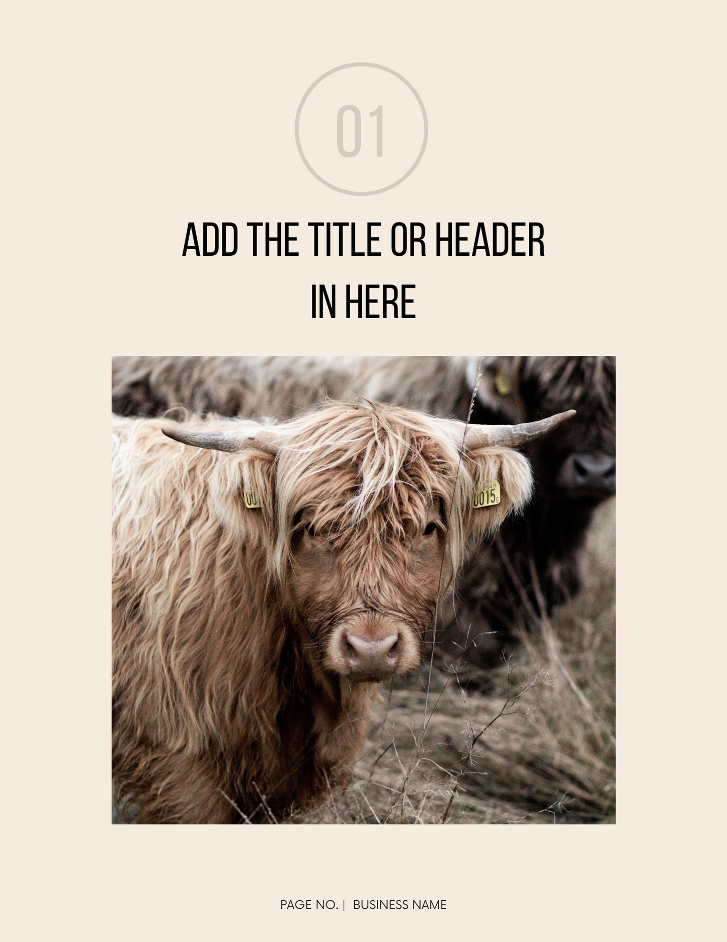Lead Generation Ebook Template Canva Editable Lead Magnet Design