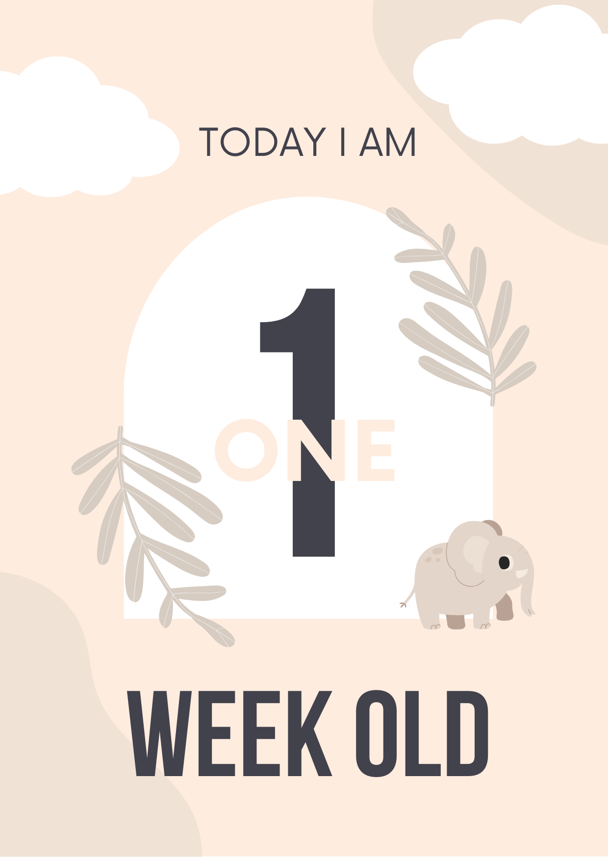 Baby Milestone Cards Editable Canva Template for New Parents Gifts