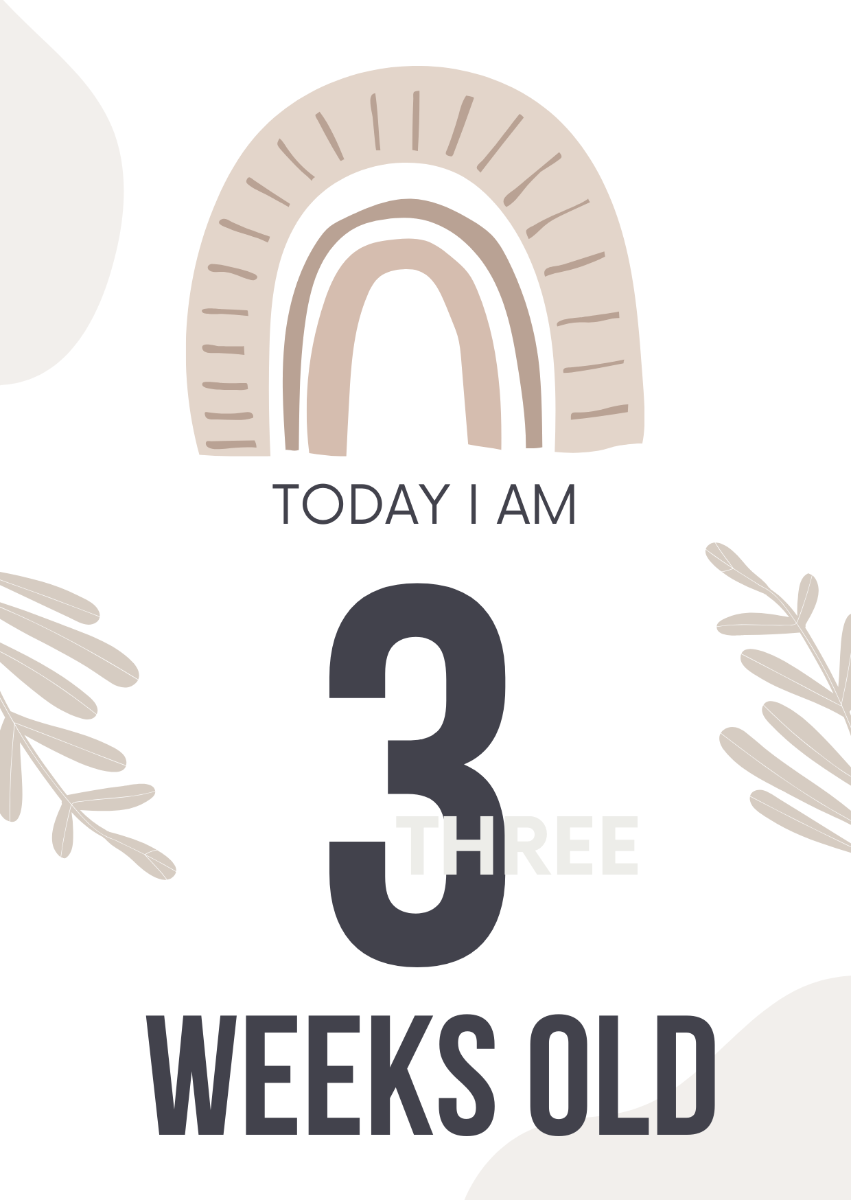 Baby Milestone Cards Editable Canva Template for New Parents Gifts