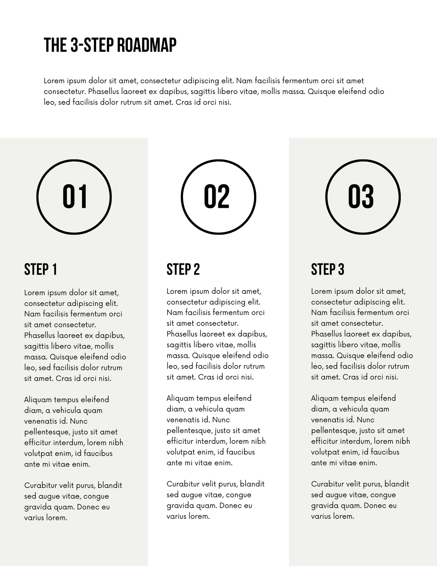 Client Roadmap Template