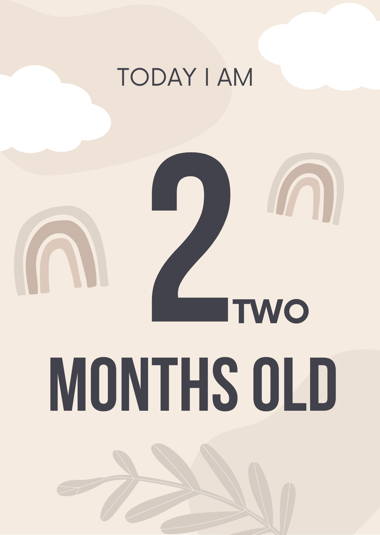 Baby Milestone Cards Editable Canva Template for New Parents Gifts
