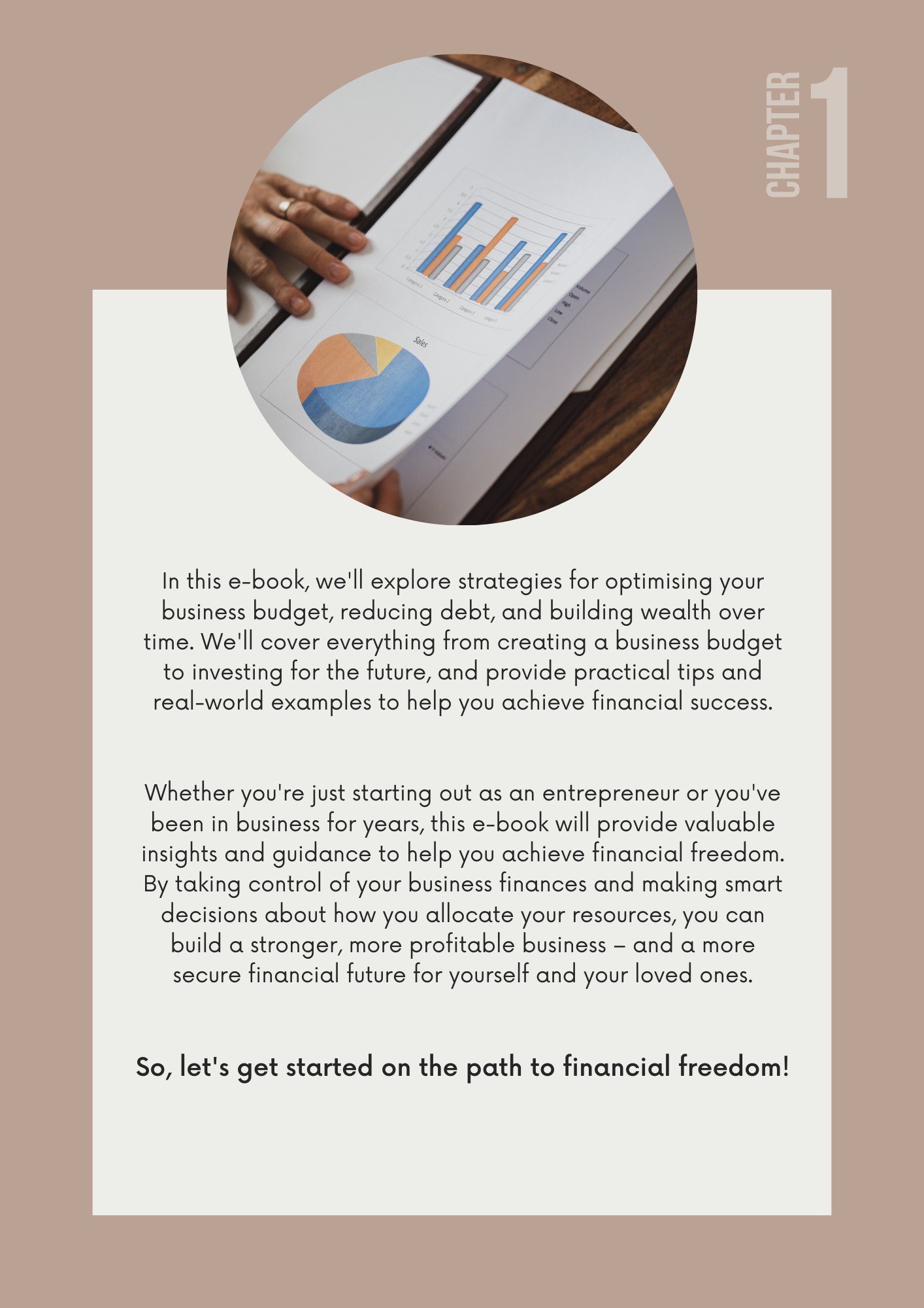 Entrepreneur's Guide to Financial Freedom Editable Canva EBook Template