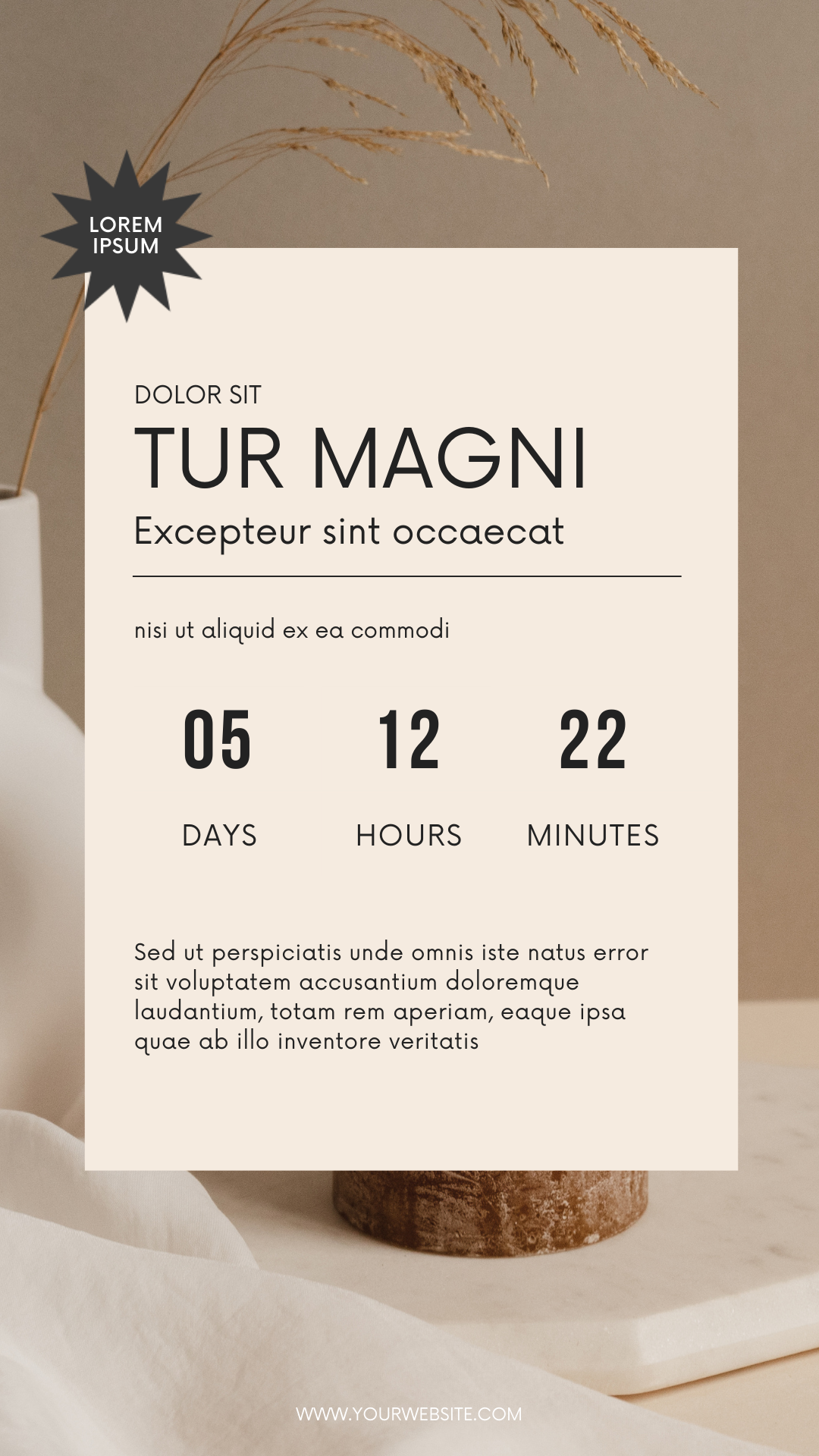 Instagram Stories Templates Editable Canva Design for Social Media Content