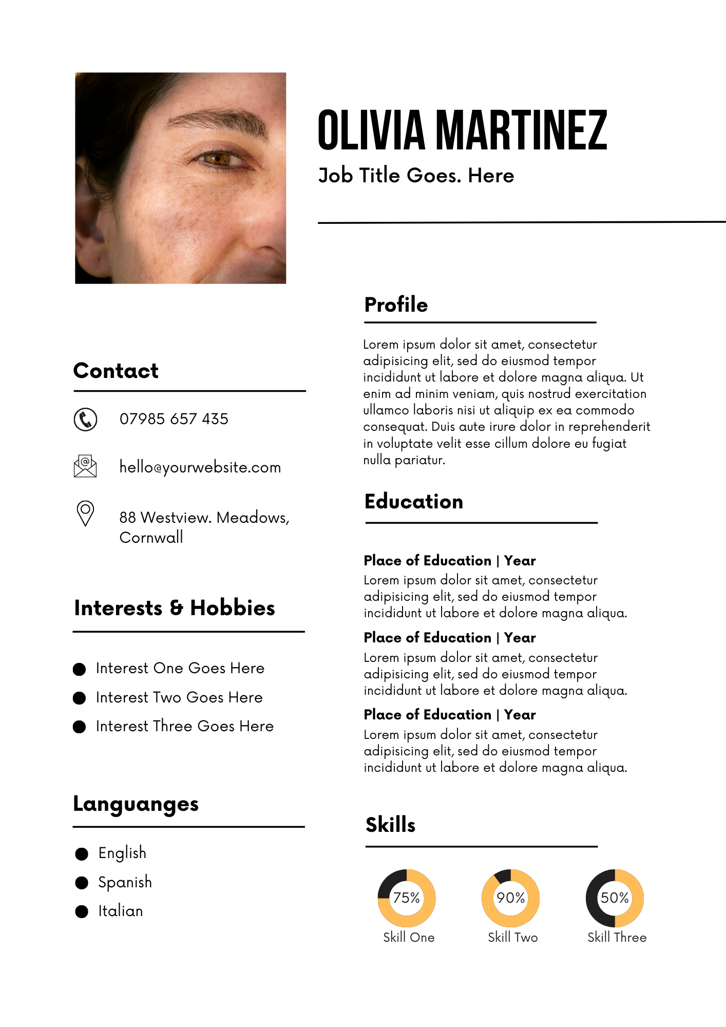 CV Templates Editable Canva Template for Professional Resumes