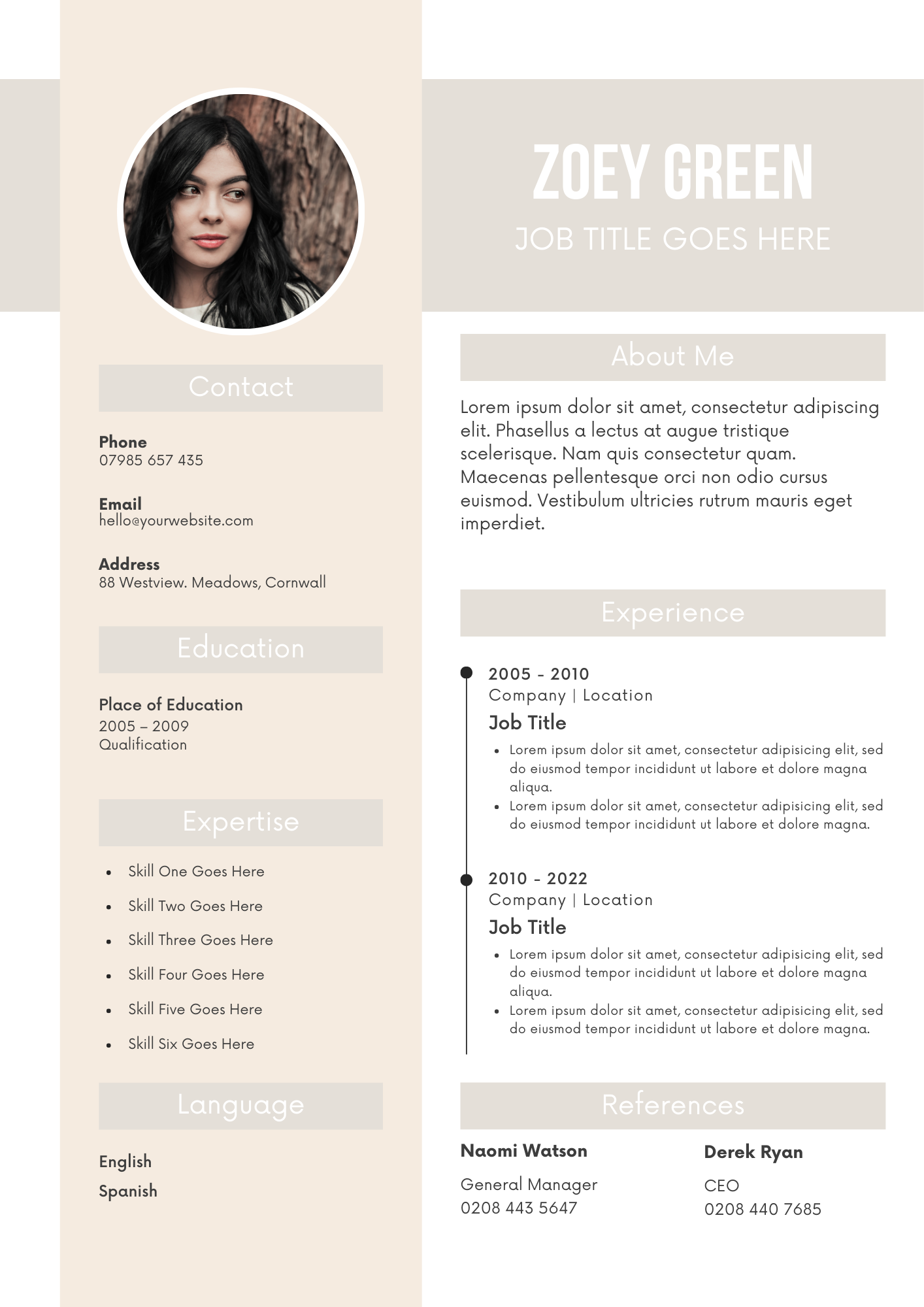 CV Templates Editable Canva Template for Professional Resumes
