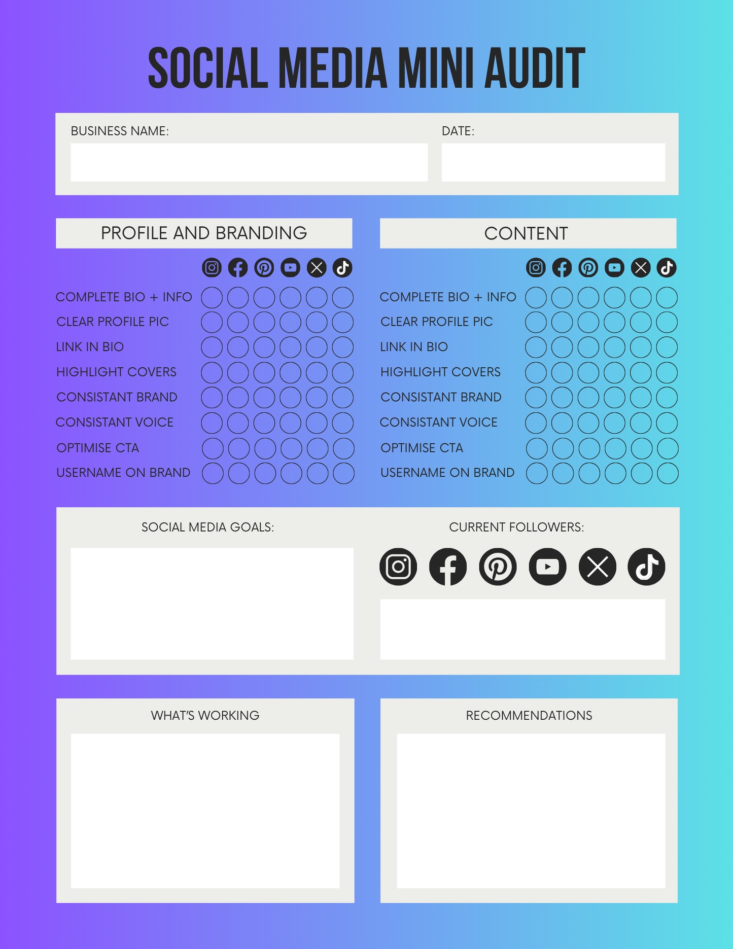 Social Media Mini Audit