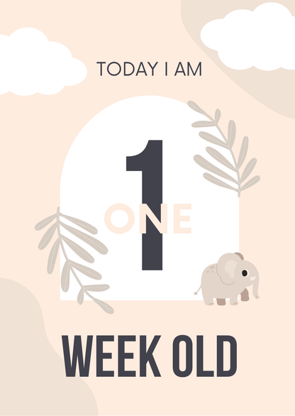 Baby Milestone Cards Editable Canva Template for New Parents Gifts