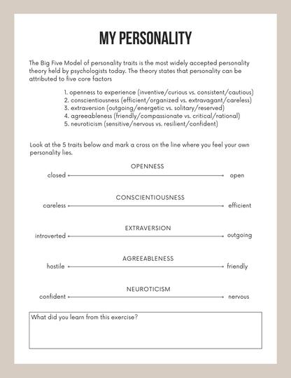 Vision Board Workbook Editable Canva Template for Goal Setting Success