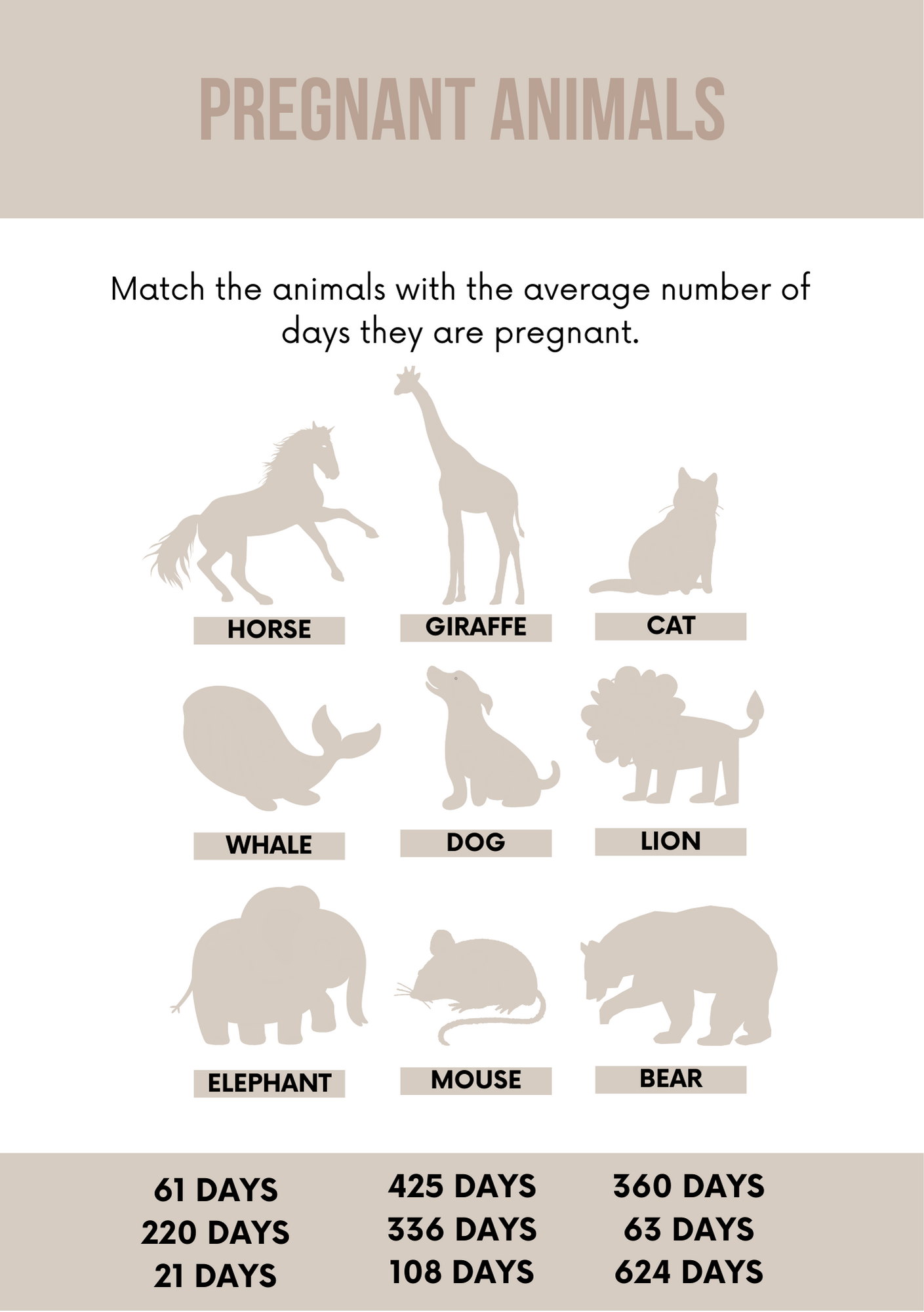 Baby Shower Games & Answers