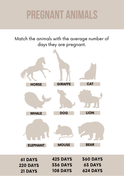 Baby Shower Games & Answers