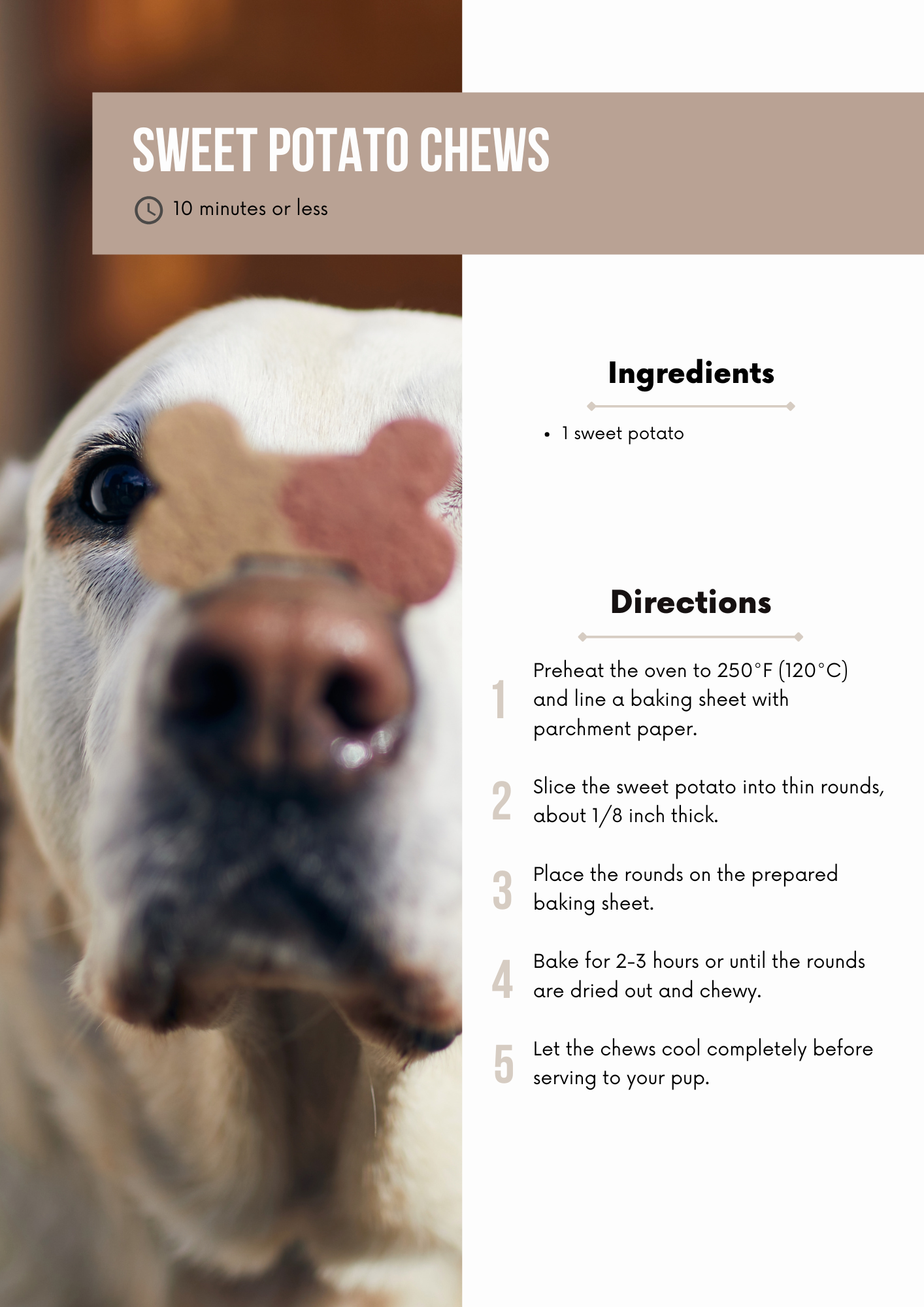 Dog Treats Recipe Book Editable Canva Template for Pet Lovers