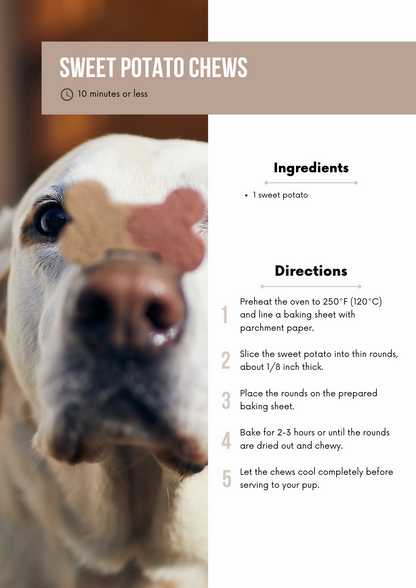 Dog Treats Recipe Book Editable Canva Template for Pet Lovers