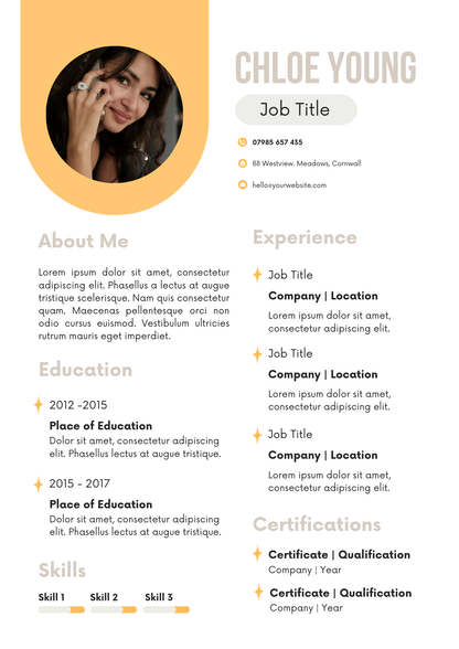 CV Templates Editable Canva Template for Professional Resumes