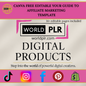 Canva Free Editable Your Guide to Affiliate Marketing Template