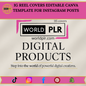 IG Reel Covers Editable Canva Template for Instagram Posts