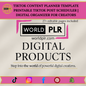 TikTok Content Planner Template Printable TikTok Post Scheduler | Digital Organizer for Creators